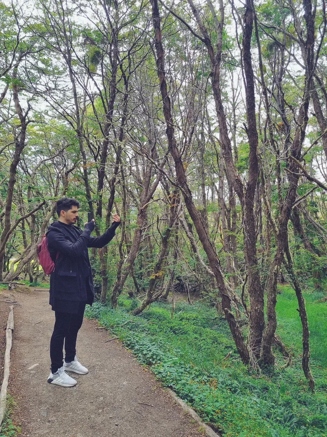 Me taking a picture of a tsuru