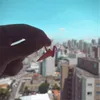 São Paulo, SP. Brasil