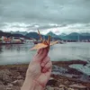 Pasarela Fique - Ushuaia, Tierra del Fuego. Argentina