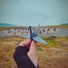 Isla Martillo - Tierra del Fuego. Argentina