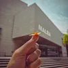 Museo De Arte Latinoamericano - Buenos Aires. Argentina