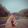 Estrada da Graciosa - Porto de Cima, PR. Brasil